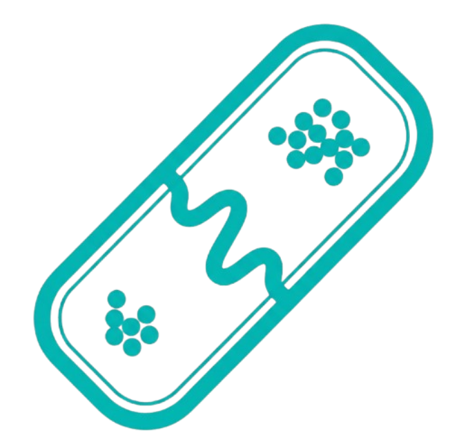 Medicamentos